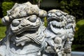 Statue of Chinese Foo Dog Royalty Free Stock Photo