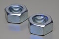 Two steel nuts