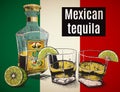 Two stemware of tequila with bootle Royalty Free Stock Photo