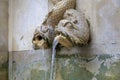 Two stone fish fountain on the wall in Lisbon Royalty Free Stock Photo