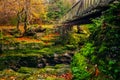 Two stone pillars of old wooden bridge with green mossy rocks in Tollymore Forest Park Royalty Free Stock Photo