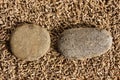 Two Stones On Lavender Seeds