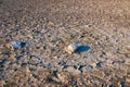 Two stones lie on a dry cracked barren ground.