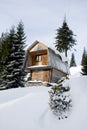 Two-storeyed wooden house concealed by snow Royalty Free Stock Photo