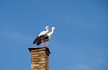 Two storks on chimney Royalty Free Stock Photo