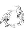 Two storks