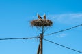 Two storks in a nest on an electric pole with wires against blue sky