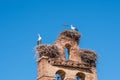 Two storks in nests on old church bell tower