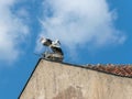 Two storks stand on a chimney in its nest, blue sky in background. Royalty Free Stock Photo