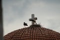 Storks storkcreatures perched atop a rooftop, with a cross visible in the background Royalty Free Stock Photo