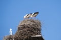 Two storks are in their nest on a chimney, in the spring , blue sky in background part of chimney Royalty Free Stock Photo