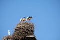 Two storks are in their nest on a chimney, in the spring , blue sky in background part of roof Royalty Free Stock Photo