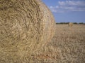 Two straw bales in the countryside