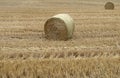 Two Straw Bales in a Field Royalty Free Stock Photo