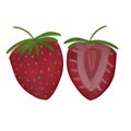 Two strawberries illustration isolated on white background. Hand drawing. Fruits and berries. Summertime Royalty Free Stock Photo