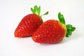 Two strawberries isolated on white background. Clipping Path Royalty Free Stock Photo