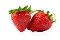 Two Strawberries isolated on a white background. Fresh organic ripe strawbery Royalty Free Stock Photo