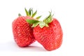 Two strawberries isolated on white background Royalty Free Stock Photo