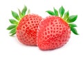 Two strawberries with leaves isolated