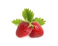 Two strawberries with leaves isolated on white background. Royalty Free Stock Photo