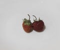 Two strawberries lie on a white plate Royalty Free Stock Photo