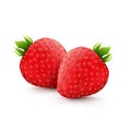 Two strawberries realistic illustration, isolated on white background Royalty Free Stock Photo