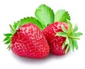 Two strawberries with strawberry leaves isolated on a white background Royalty Free Stock Photo