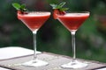 Two Strawberry daiquiri cocktail martini glass Royalty Free Stock Photo