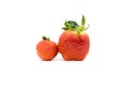 Two strawberry is on a white background. Royalty Free Stock Photo