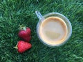 Two strawberrys with cup of coffee on the grass