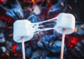 Two stretchy marshmallows roasting over fire flames. Marshmallow on skewers roasted on charcoals