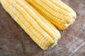 Two stripped tender corn cobs