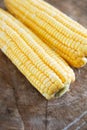 Two stripped tender corn cobs