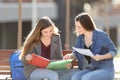 Two students studying comparing notes in a park