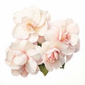 Hyperrealistic White Bouquet With Pink Flowers Watercolor Painting