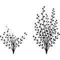Two stylized black and white illustrations of small leafy branches Royalty Free Stock Photo