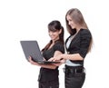 Two successful employees looking at laptop screen Royalty Free Stock Photo
