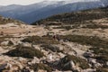 Two successful hiker woman friends enjoy the view on mountain peak. Happy backpackers walking in nature Royalty Free Stock Photo