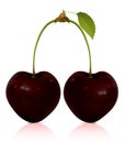 Two summer black cherries