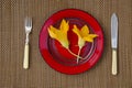 Two summer pumpkin zucchini flowers in red plate on table