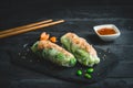 Two summer rolls with salad and salmon on black background Royalty Free Stock Photo