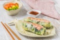 Two summer rolls with salad and salmon and sauce on a white wooden background Royalty Free Stock Photo