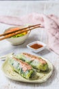 Two summer rolls with salad and salmon and sauce on a white wooden background, japanese, asian food Royalty Free Stock Photo