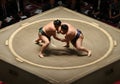 Sumo wrestlers competition Royalty Free Stock Photo