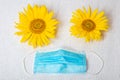 Two sunflower flowers and a medical mask, concept during coronavirus protecti seya and loved ones Royalty Free Stock Photo