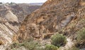 Two Surefooted Ibex Climbing the Cliffs of Wadi Karkash in the Negev in Israel