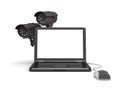 Two surveillance cameras and laptop Royalty Free Stock Photo