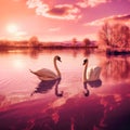 two swans on a beautiful pink lake. Generative AI