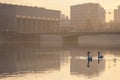 Two swans Cygnus Cygninae on Odra River in Wroclaw, Poland with Peace bridge Most Pokoju