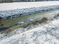 Swans in the snow in Kent, uk